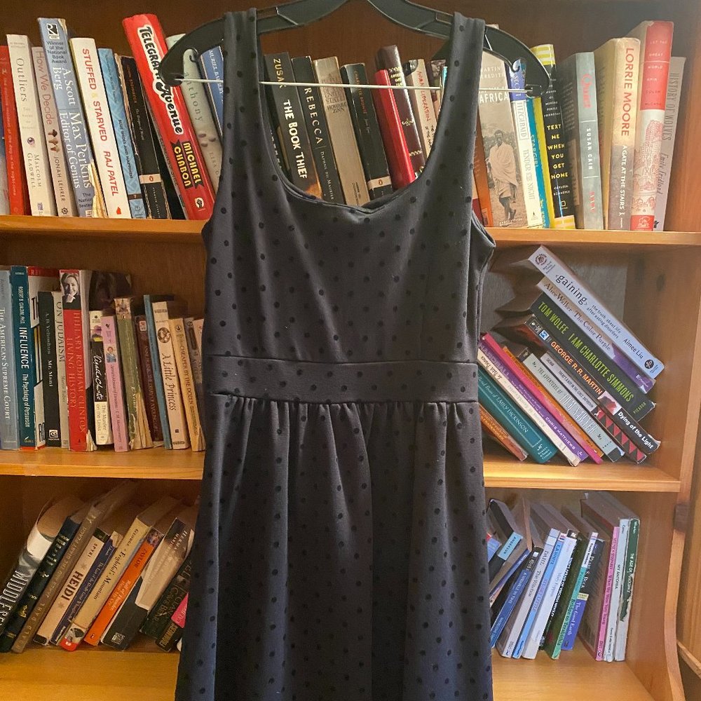 Madewell Black Polkadot Dress